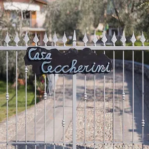  Ferienhaus Ceccherini Rosa-viola